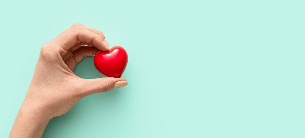 Donor Stewardship Program 2