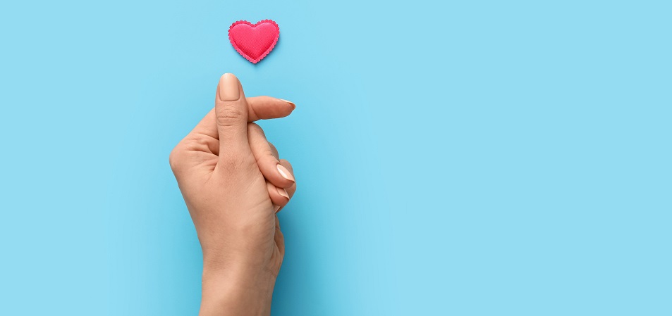 Donor Stewardship Program